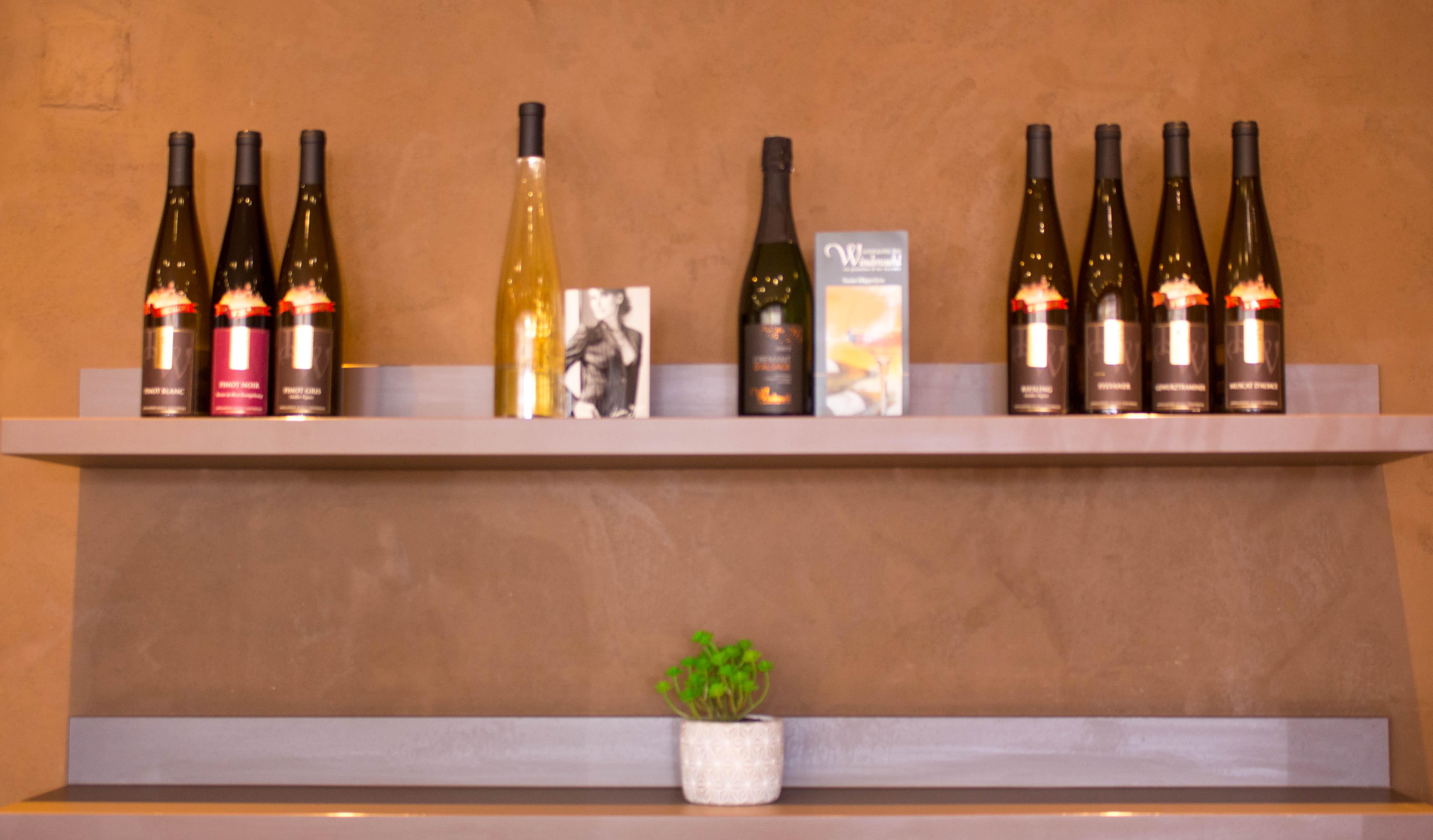 Ibis Colmar Est - Hotel Restaurant En Alsace Horbourg-Wihr Ngoại thất bức ảnh