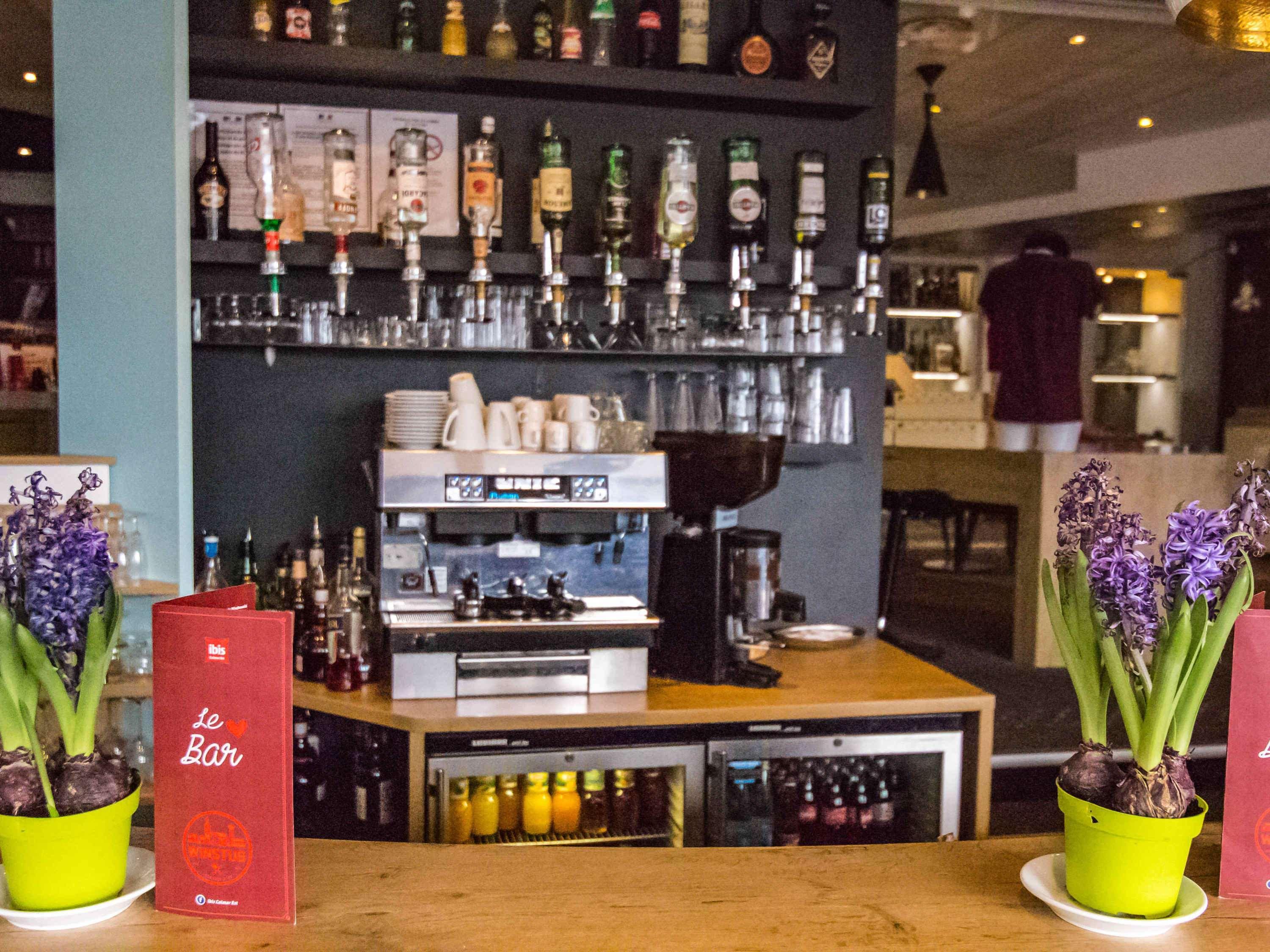 Ibis Colmar Est - Hotel Restaurant En Alsace Horbourg-Wihr Ngoại thất bức ảnh